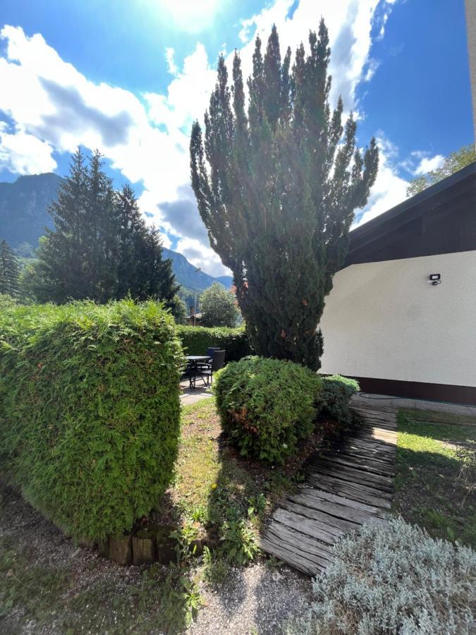 Pod Galetovcem Apartment Bohinjska Bela Bagian luar foto